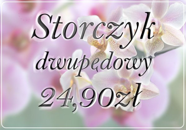 storczyk-p2